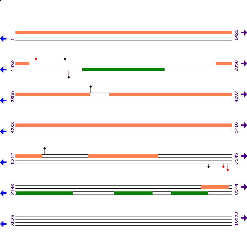 Genome View