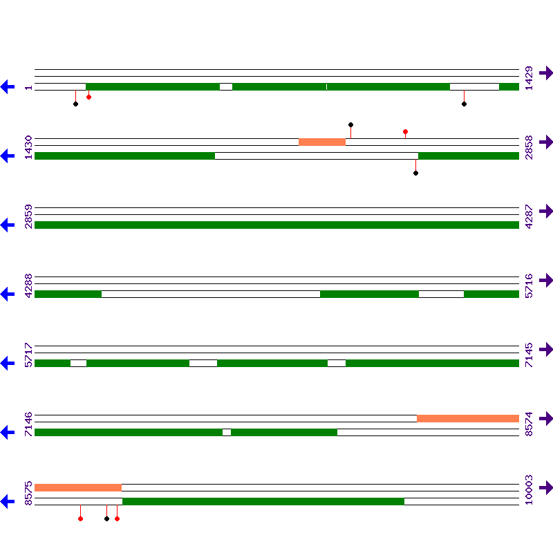 Genome View
