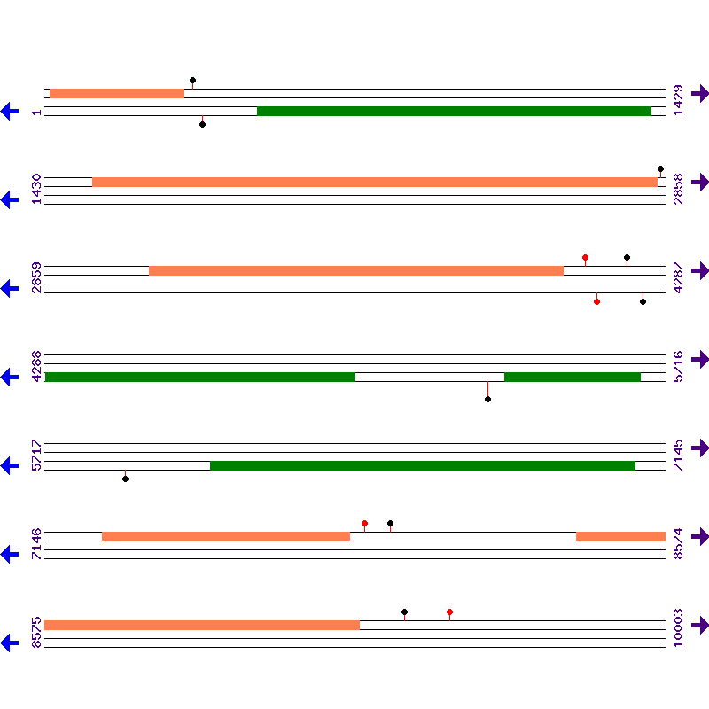 Genome View
