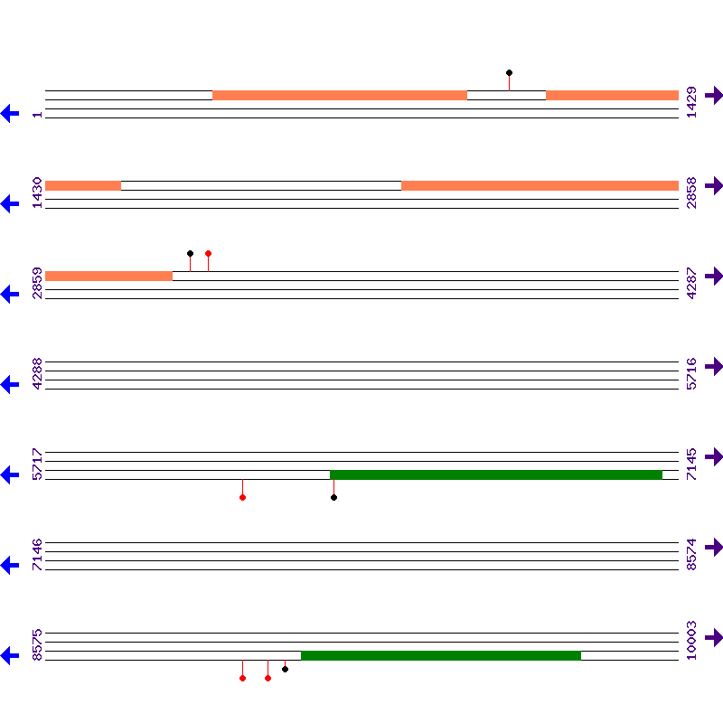 Genome View