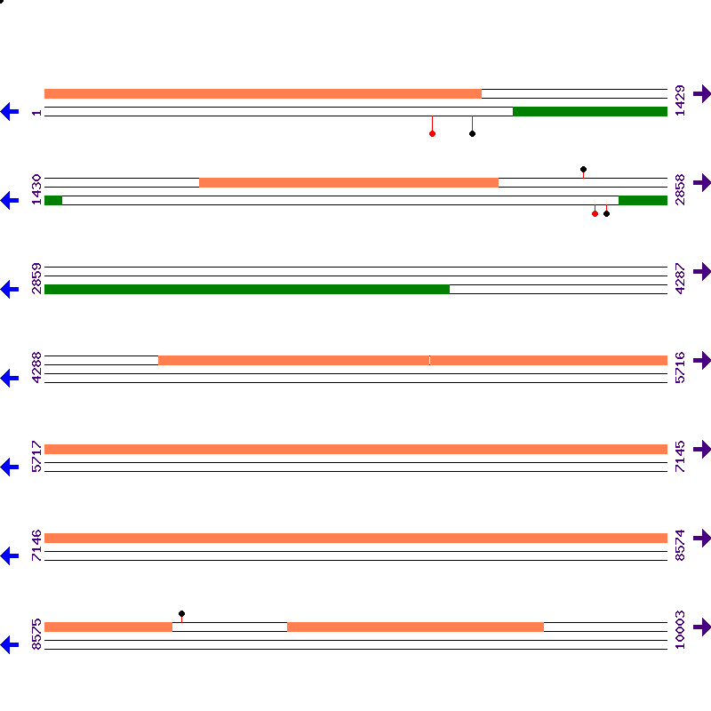 Genome View