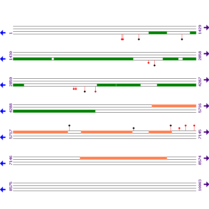 Genome View