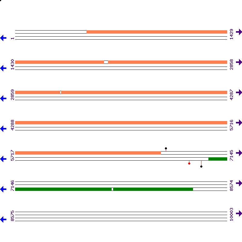 Genome View
