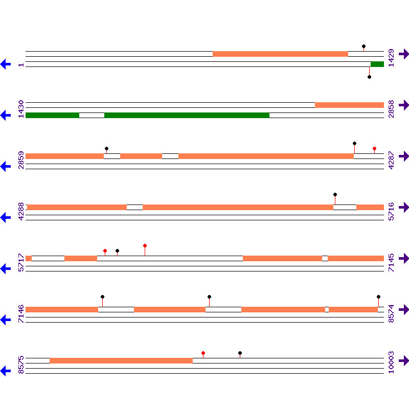 Genome View