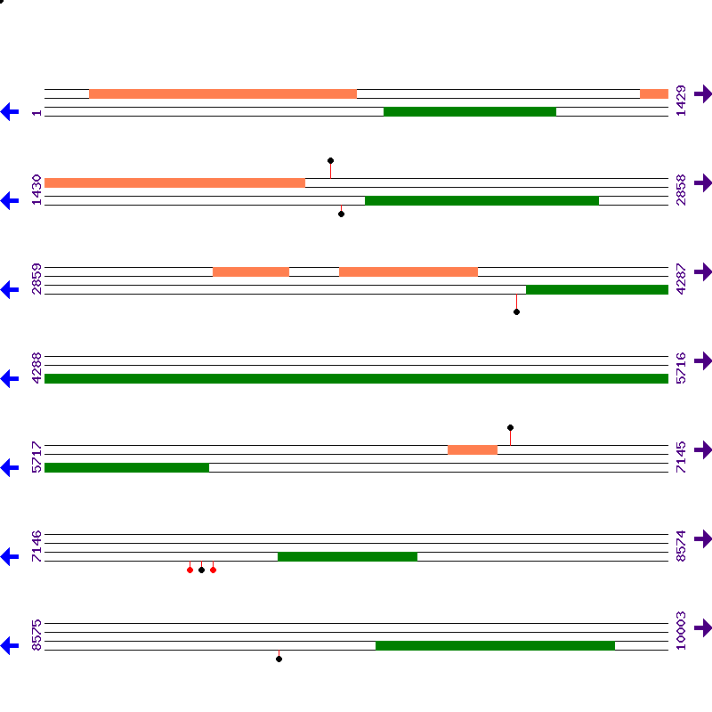 Genome View