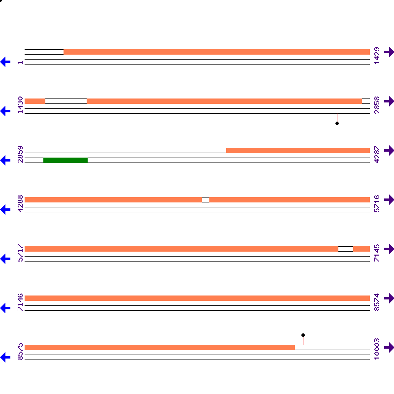 Genome View