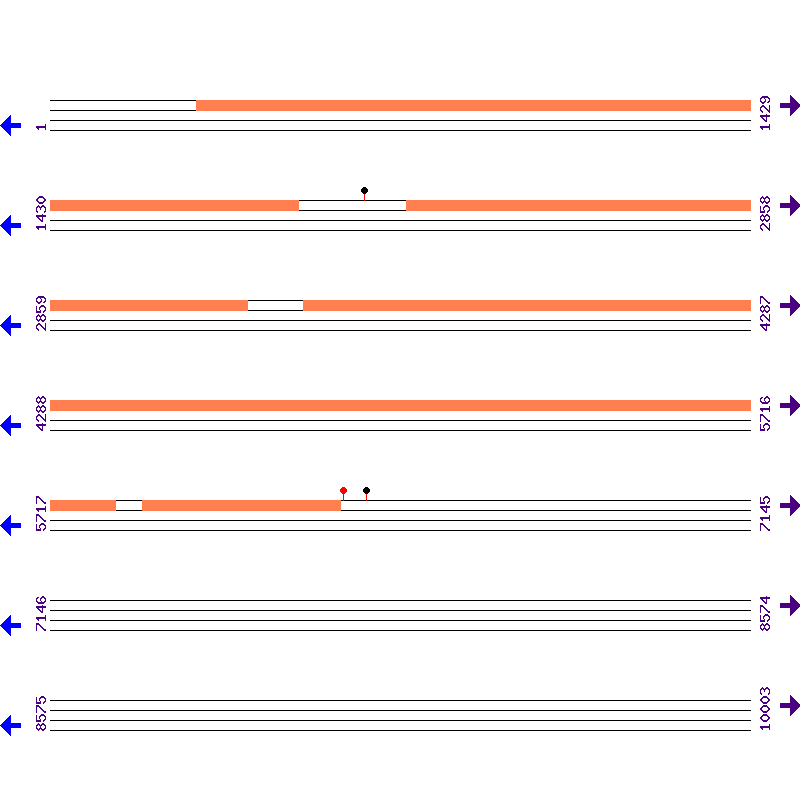 Genome View