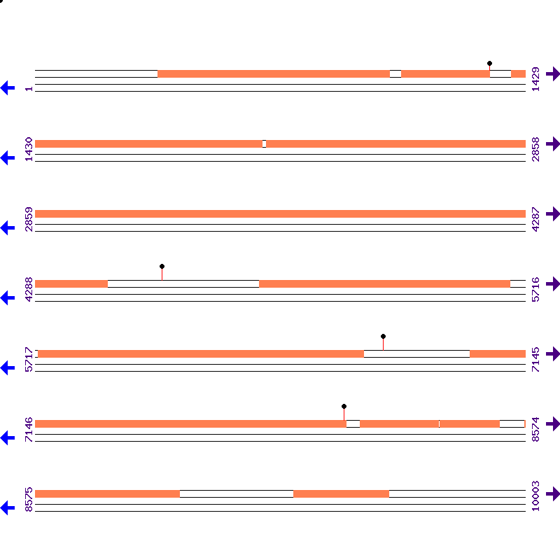 Genome View