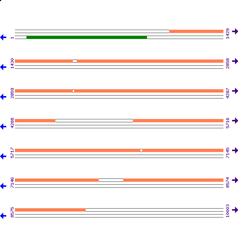 Genome View