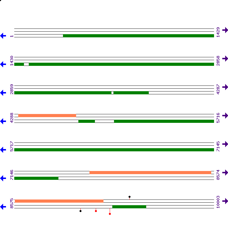 Genome View