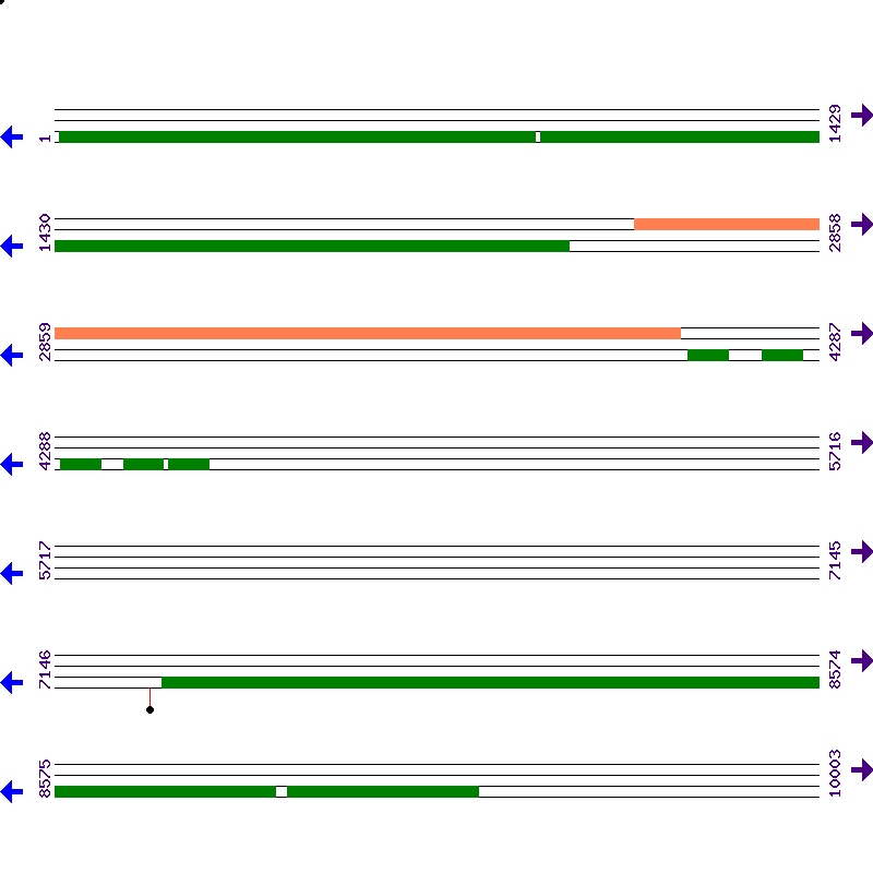 Genome View