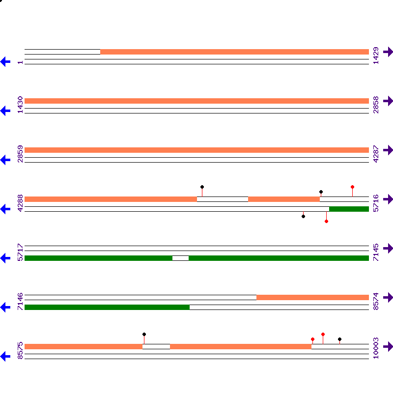 Genome View