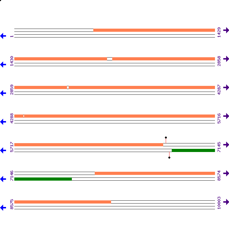 Genome View