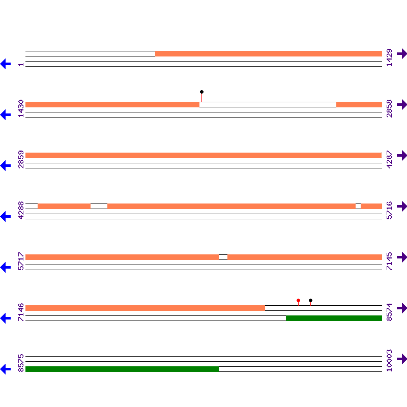 Genome View