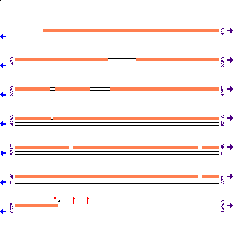 Genome View