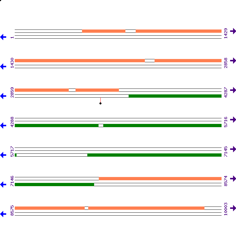 Genome View
