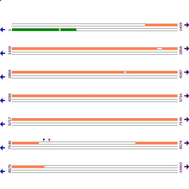 Genome View