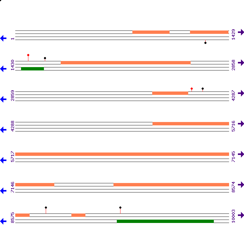 Genome View