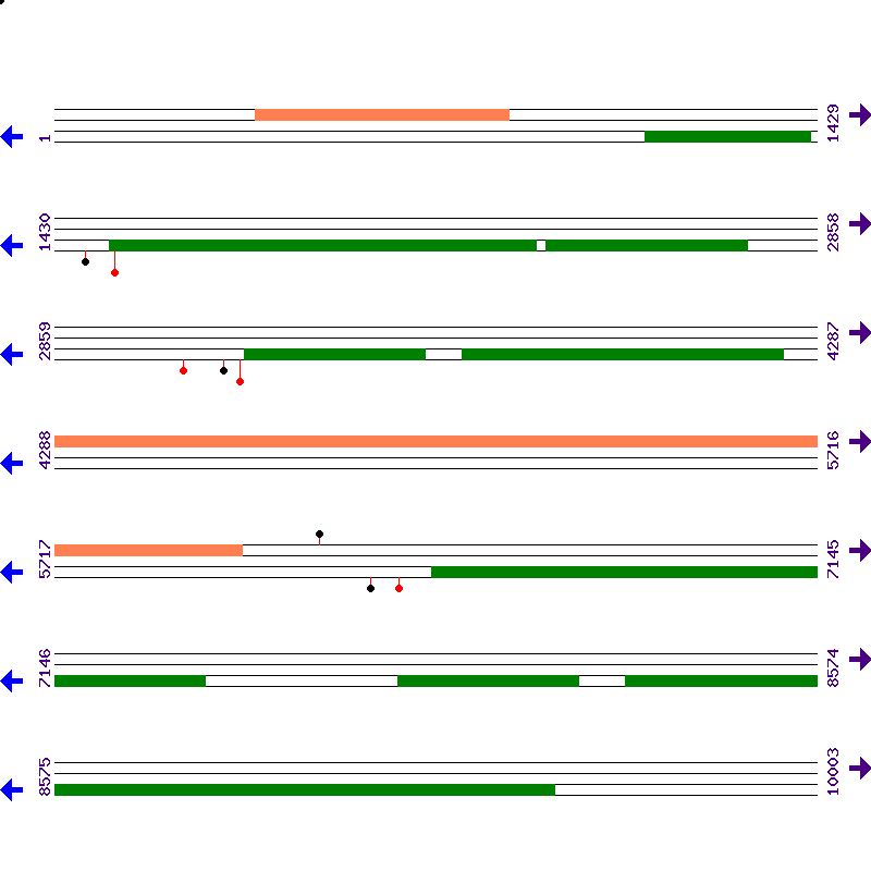 Genome View