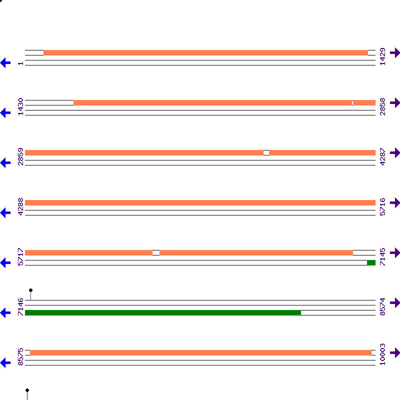 Genome View