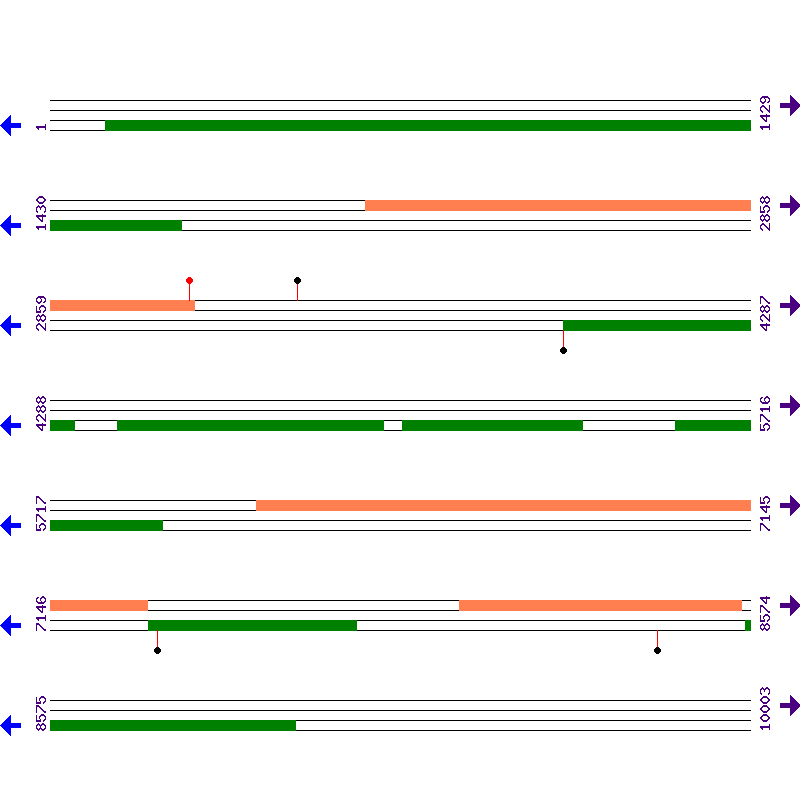 Genome View