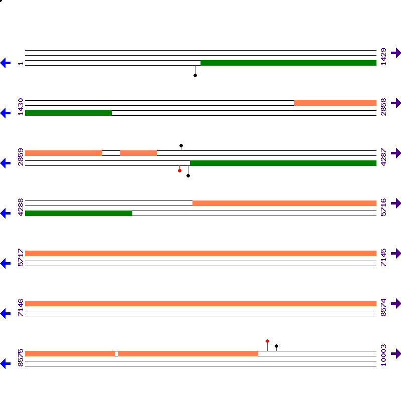 Genome View