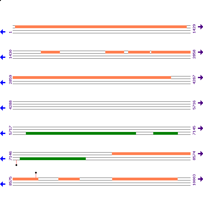 Genome View