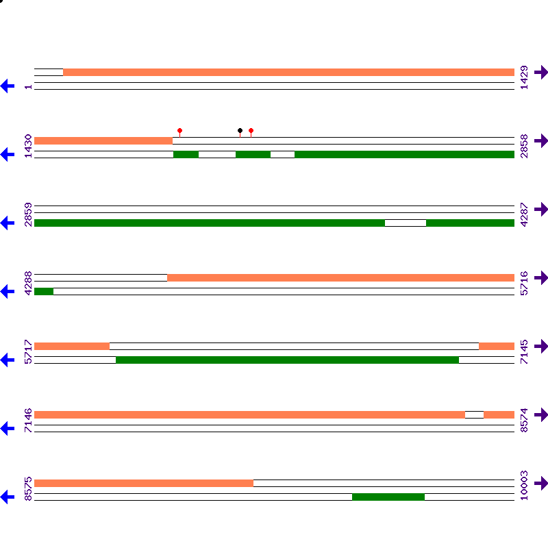 Genome View