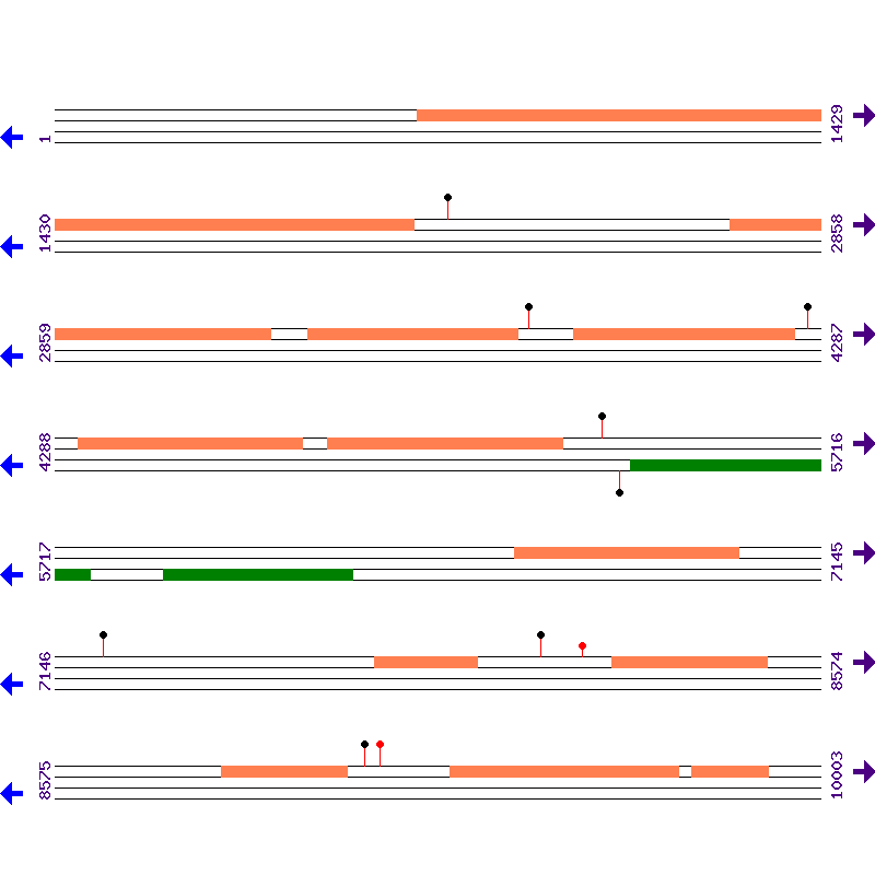 Genome View