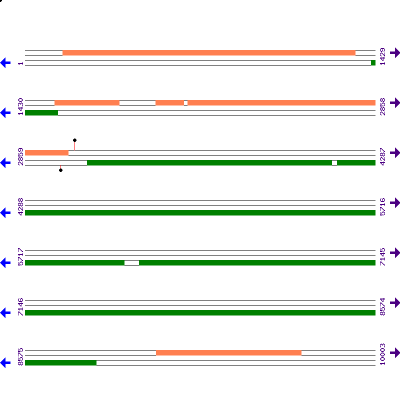 Genome View