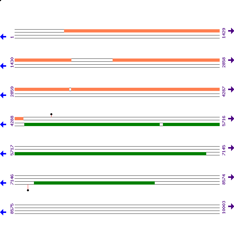 Genome View