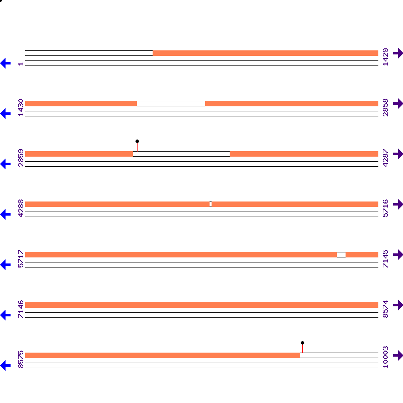 Genome View