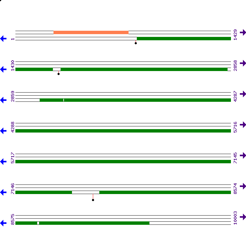Genome View
