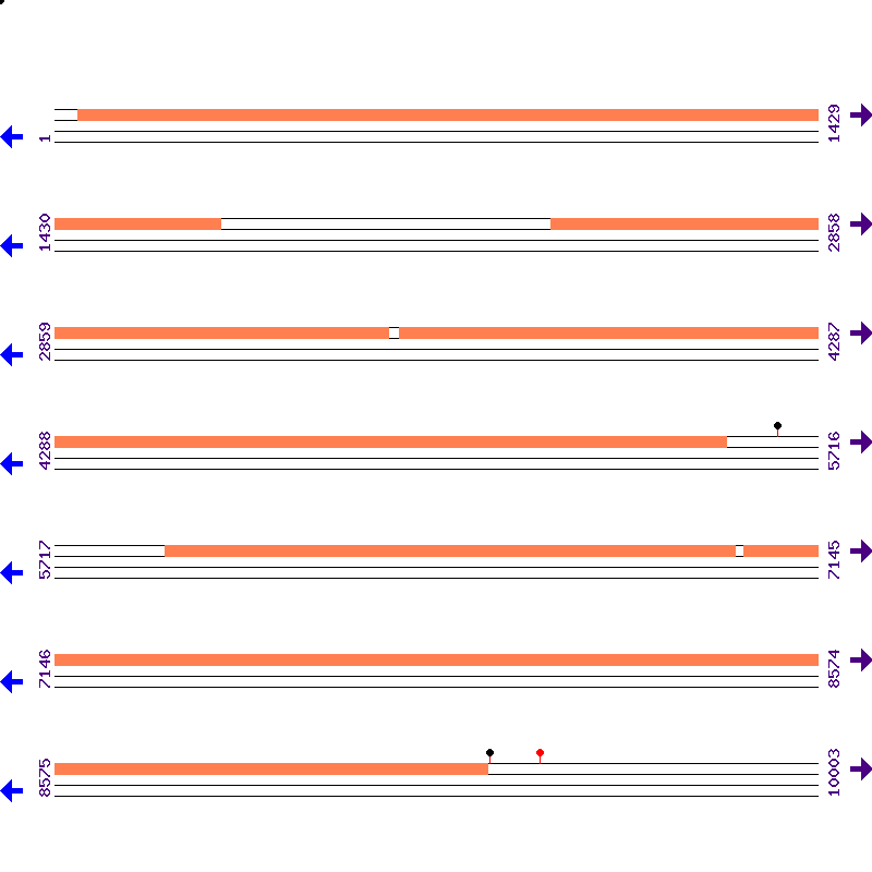 Genome View