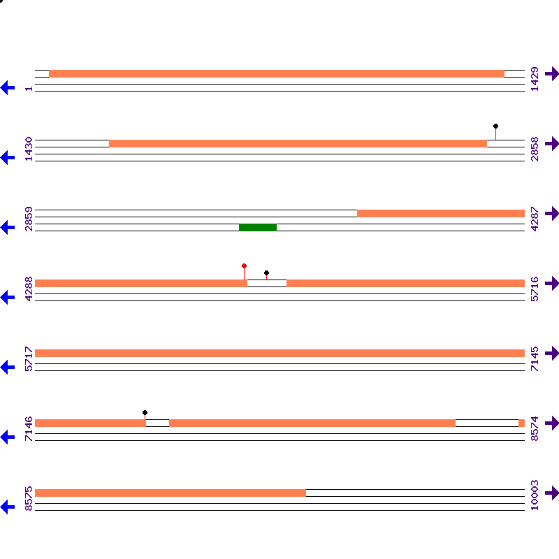 Genome View