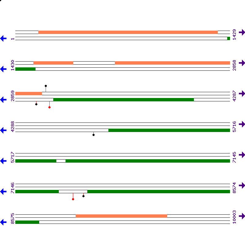 Genome View