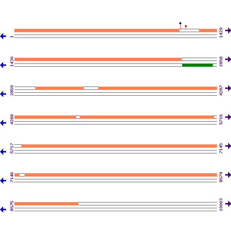 Genome View