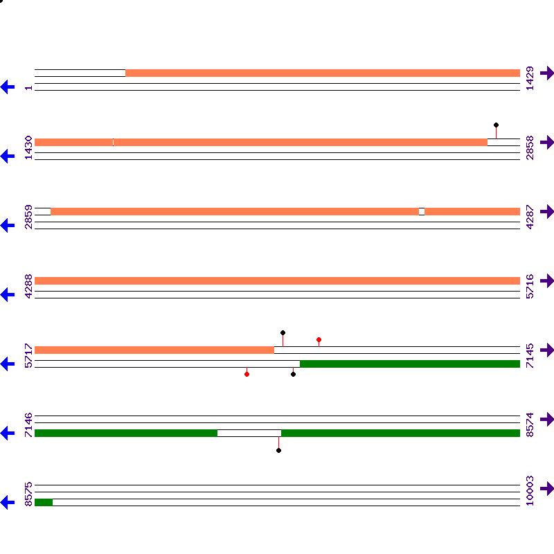 Genome View