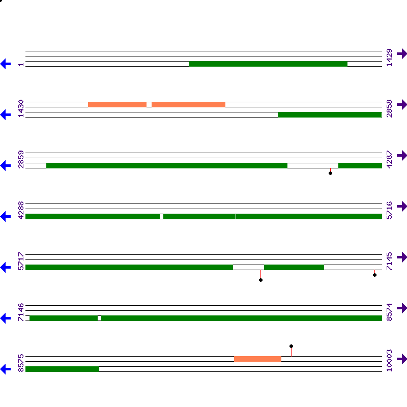 Genome View