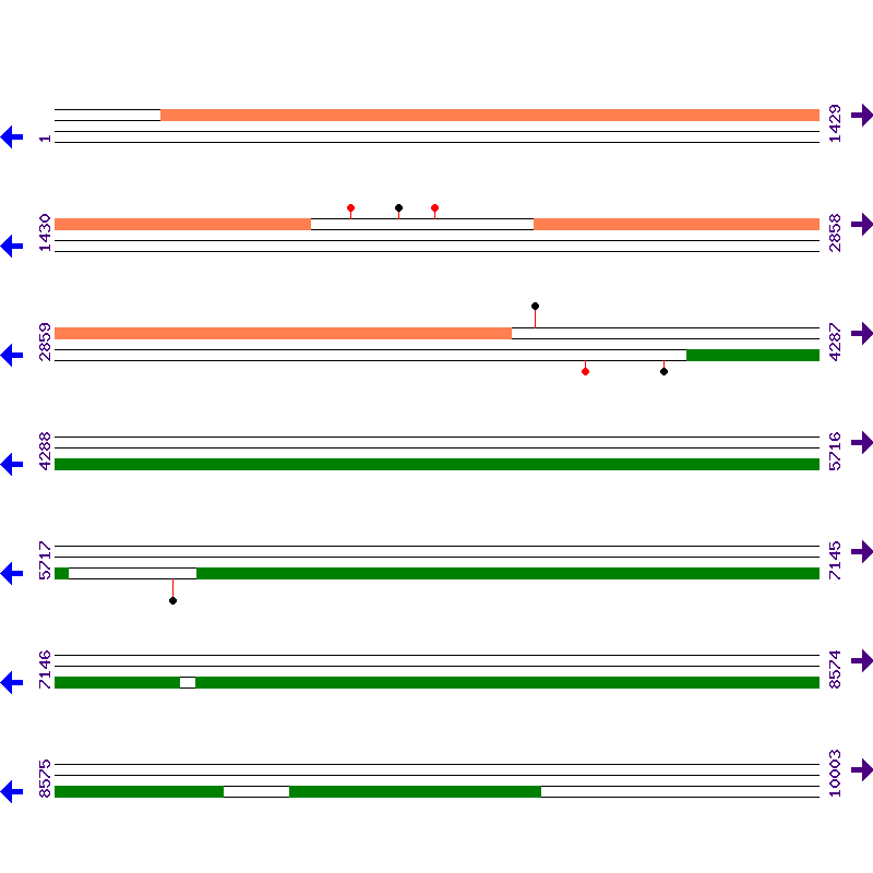 Genome View