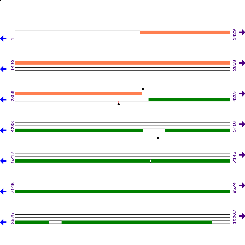 Genome View