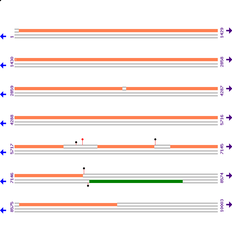 Genome View