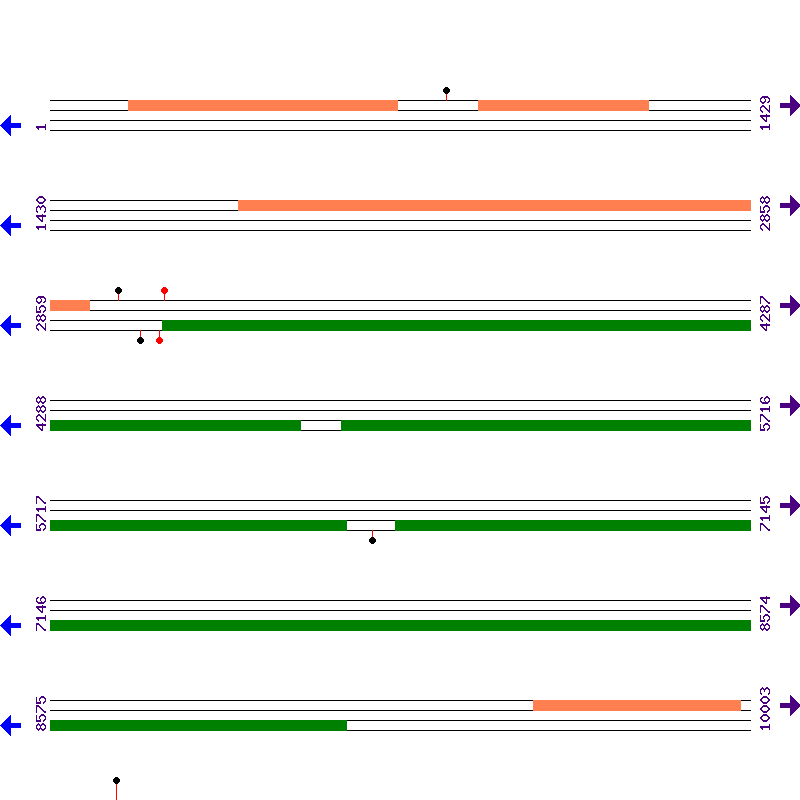 Genome View