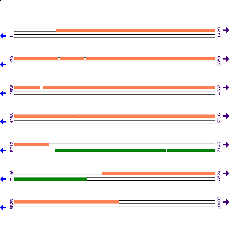 Genome View