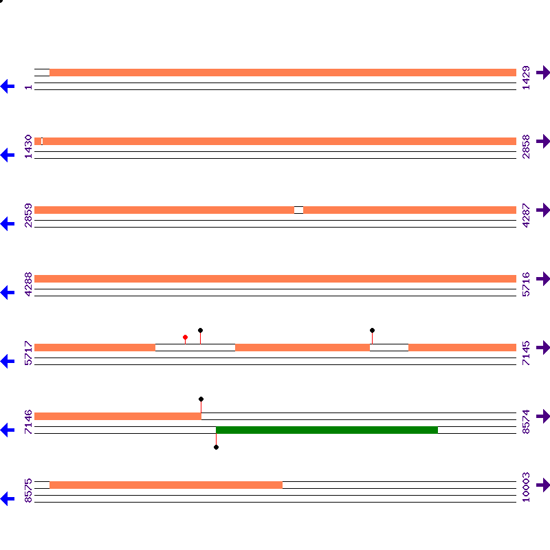 Genome View