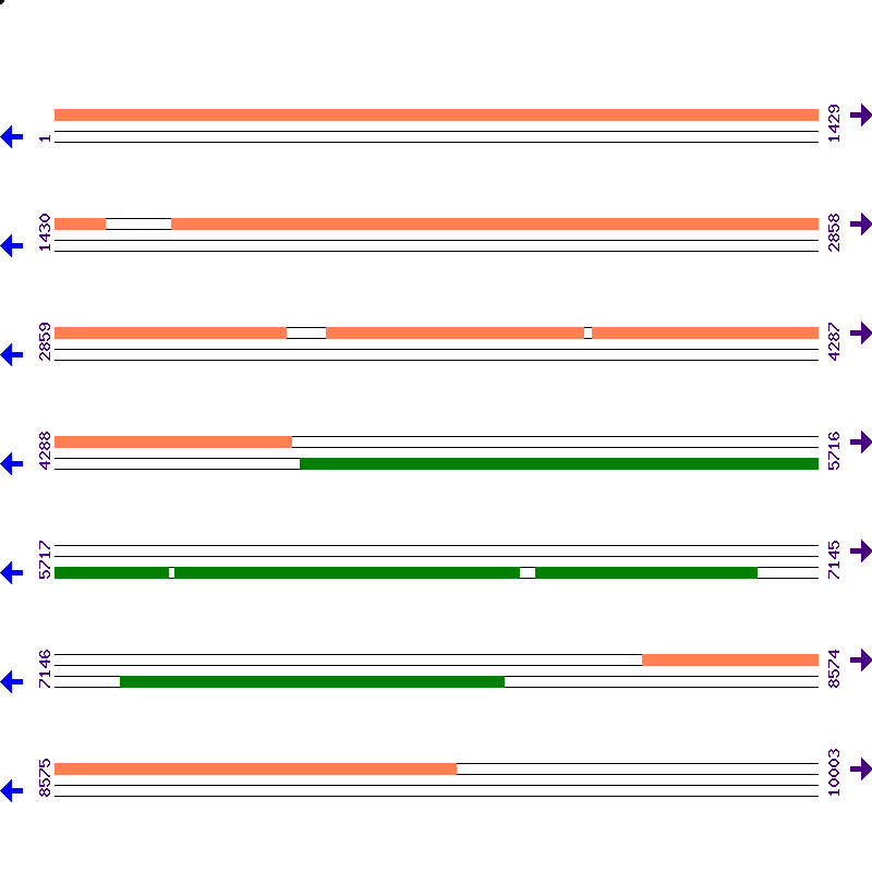 Genome View