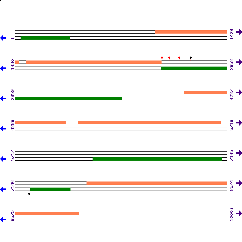 Genome View