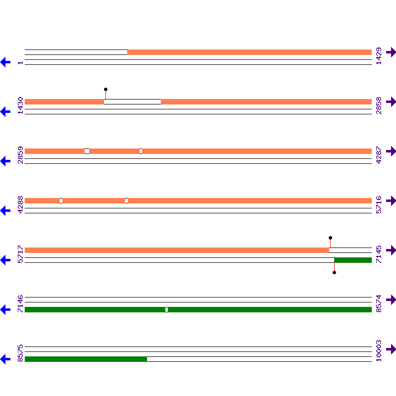 Genome View