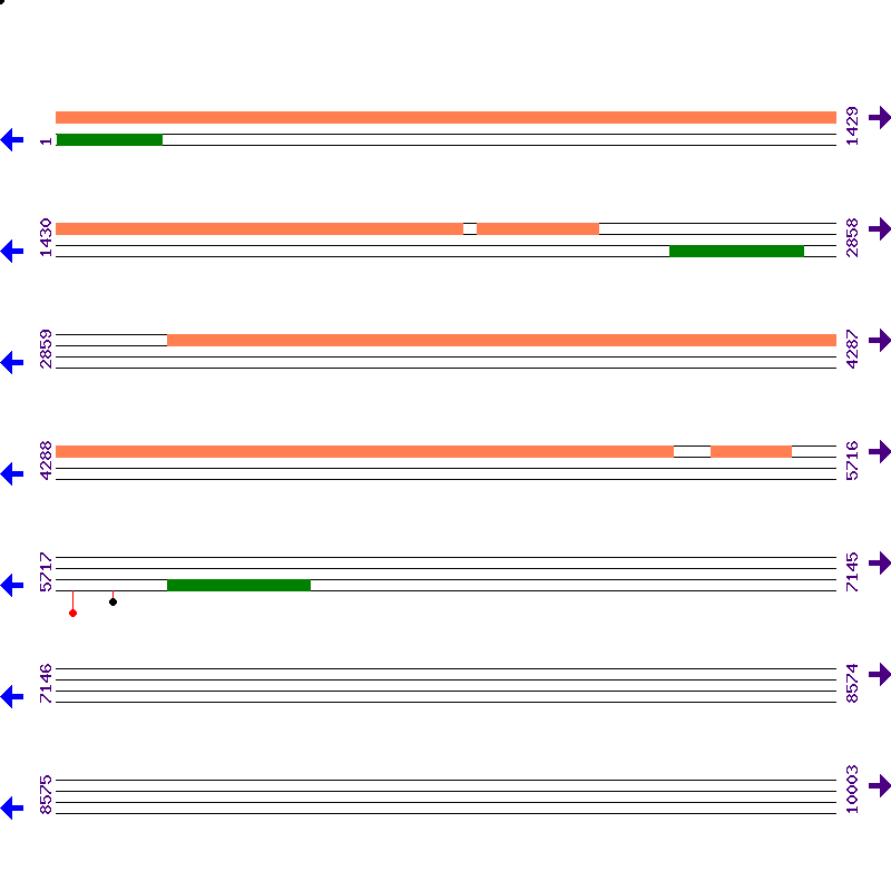 Genome View