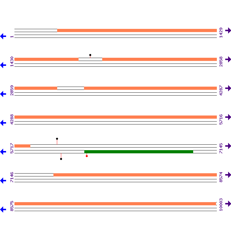 Genome View